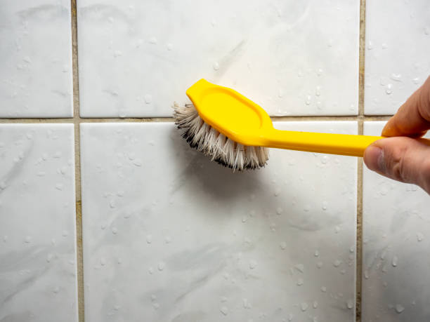 Mold Removal and Inspection in West Slope, OR
