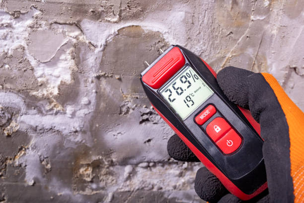 Mold Removal and Inspection in West Slope, OR